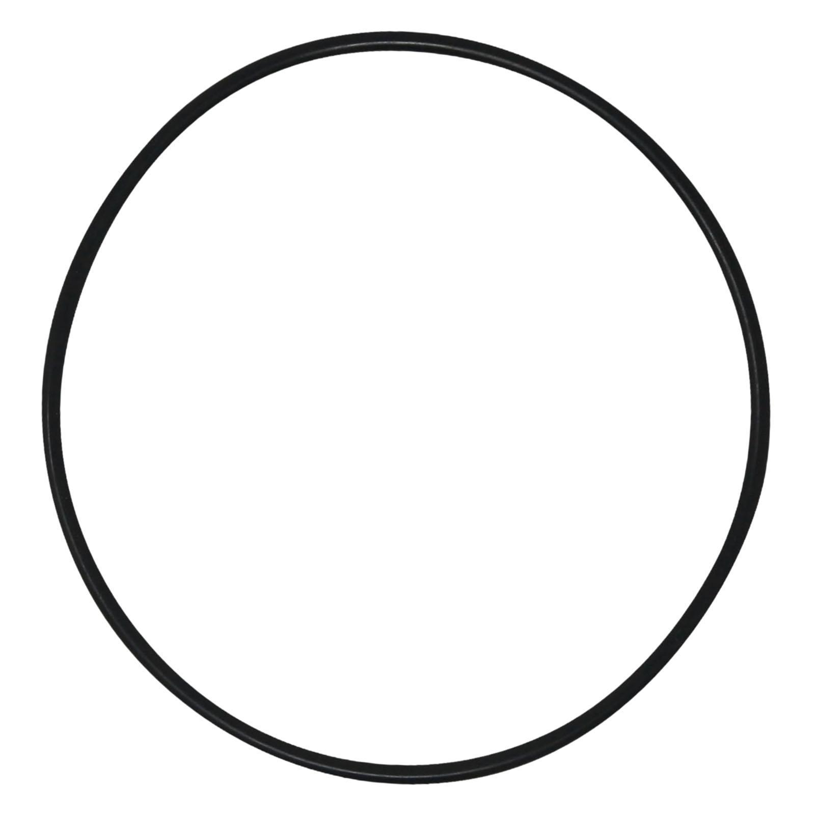 Leakproof Pool Filter Tank O R - огляд і ціна Tank O-Ring Seal