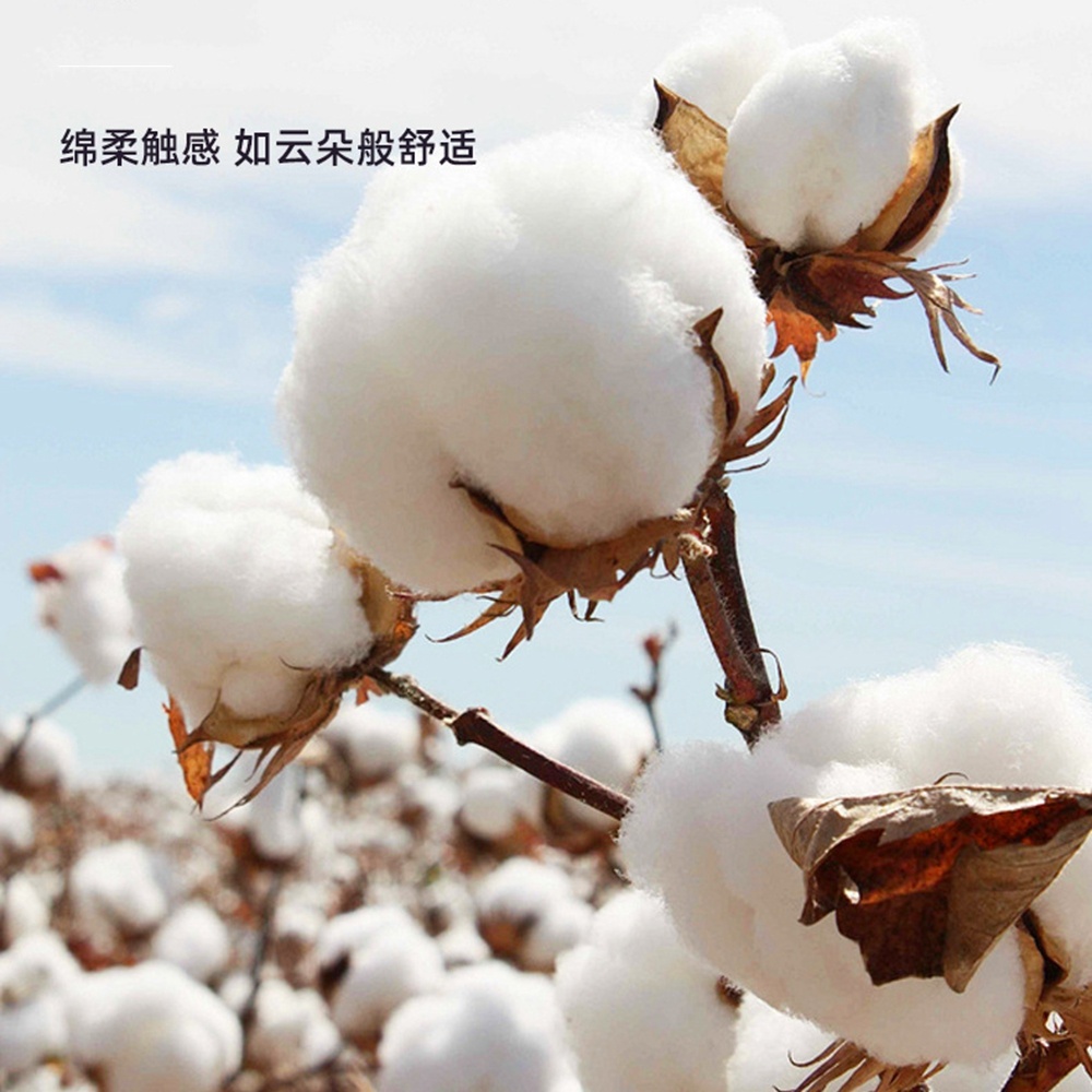 5.0/3.0/2.5mm Rubber Head Orga - огляд і ціна Cotton Wick Organic